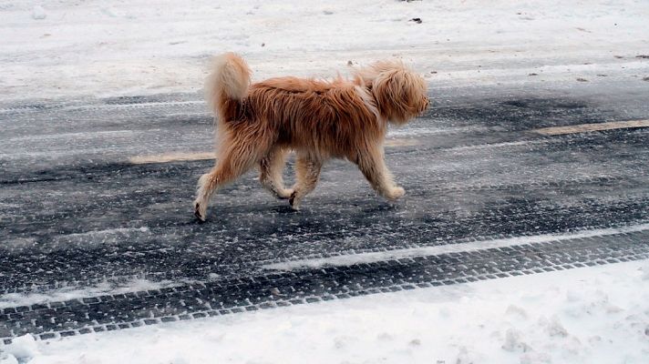 El tiempo - Nieve en Navarra, Aragón, La Rioja, Castilla y León y Pirineo