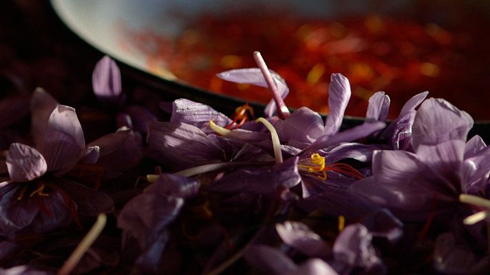 La noche temática - El imperio del olfato