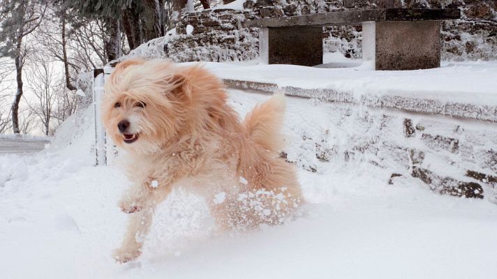 El tiempo - Remite la nieve en toda España y bajan temperaturas en meseta norte