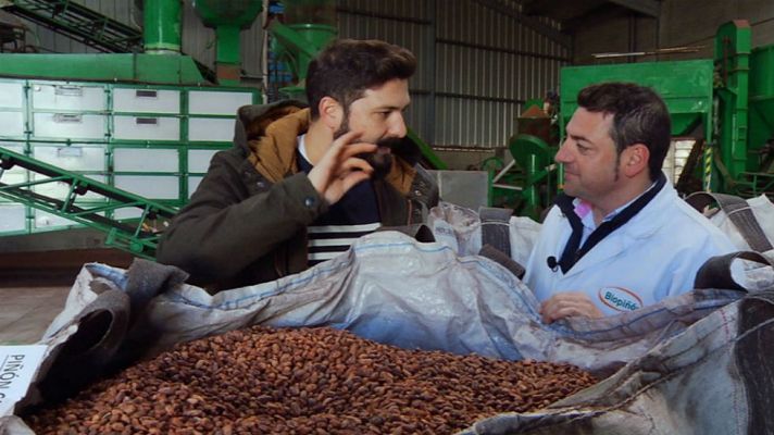 Aquí la Tierra - Piñas, piñones y biopiñón