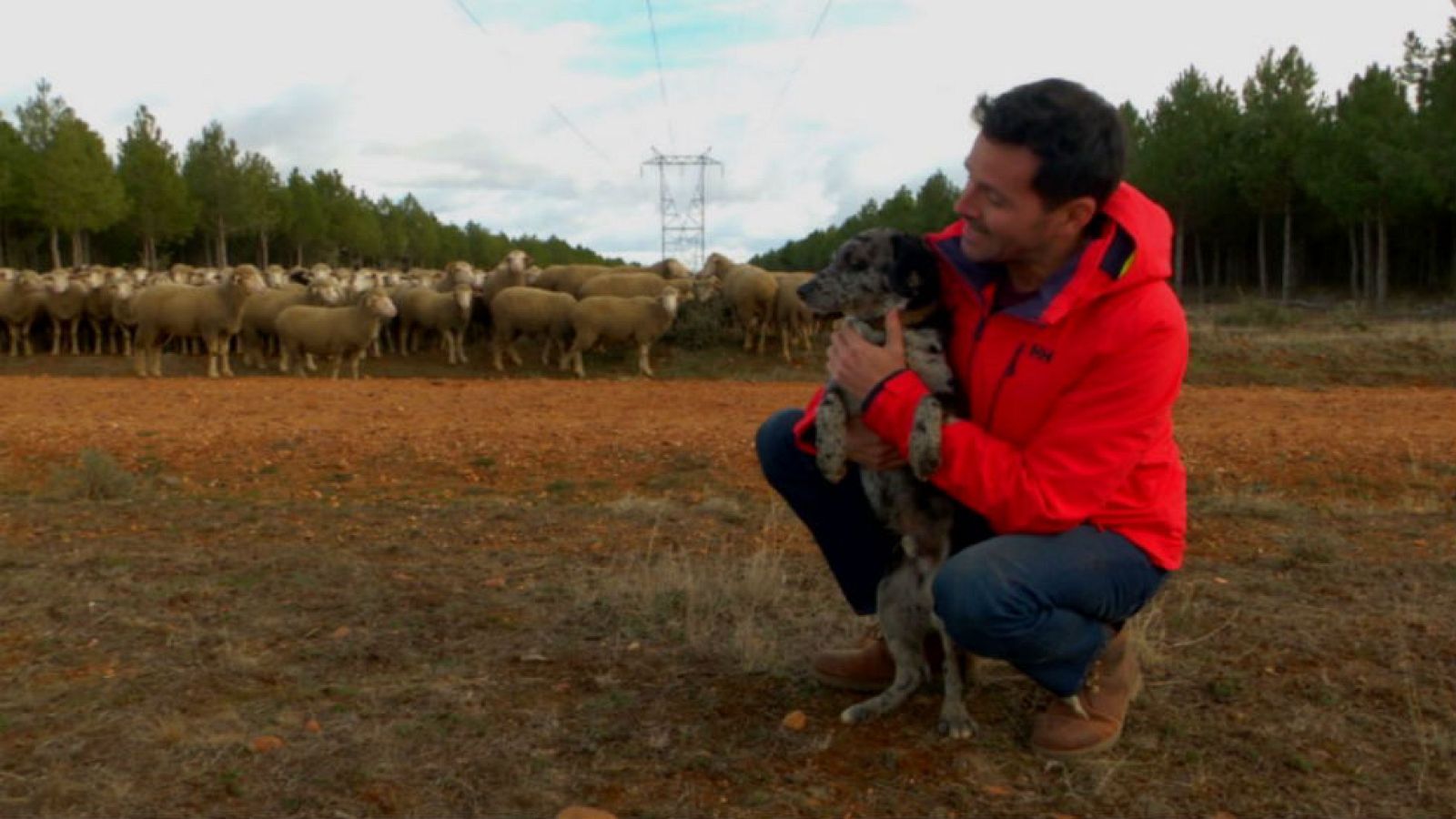 Conoce al carea leonés
