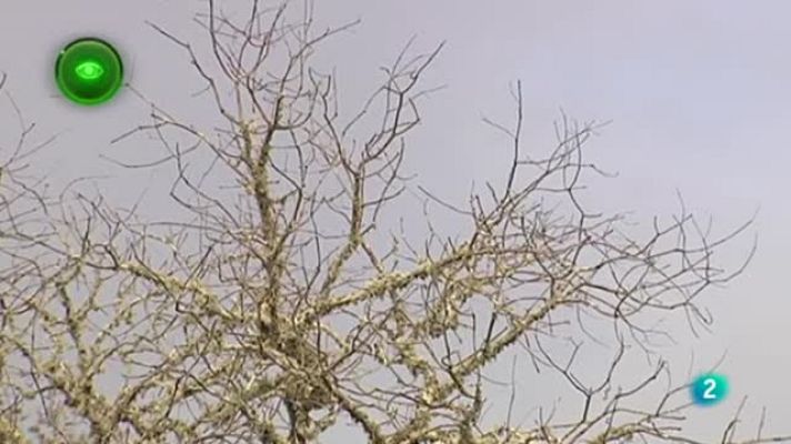 Agrosfera - SECA ANDALUCIA