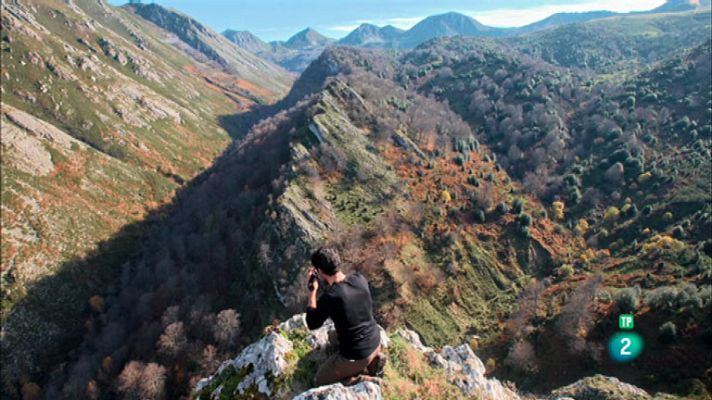 La aventura del Saber - 100 días de soledad