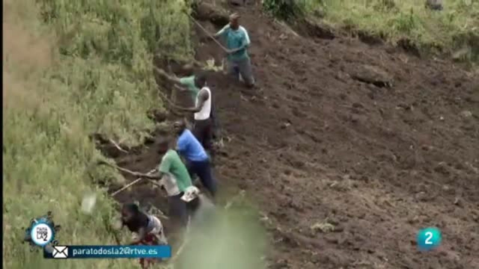 Para Todos La 2 - Reportaje sobre la explotación infantil