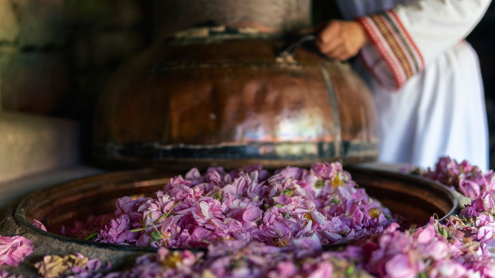 Otros documentales - Comida al descubierto: Rosas, cerdo y bolsas para hornear  - ver ahora
