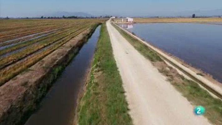 Las rutas Capone - La artesana que convierte las redes en cortinas