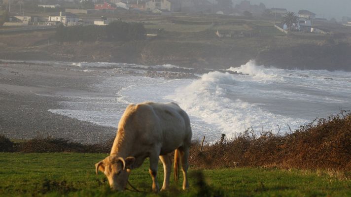 Telediario 1 - Telediario 1 en 4' - 18/01/18