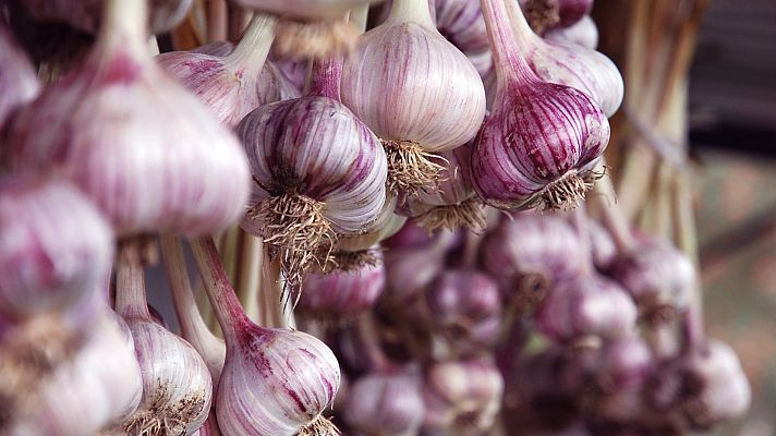 Otros documentales - Comida al descubierto: Dientes de niño, vino y ajo