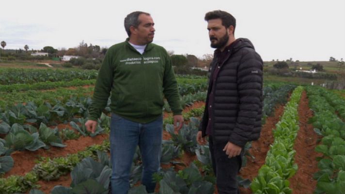 Aquí la Tierra - Lo ecológico en la sangre