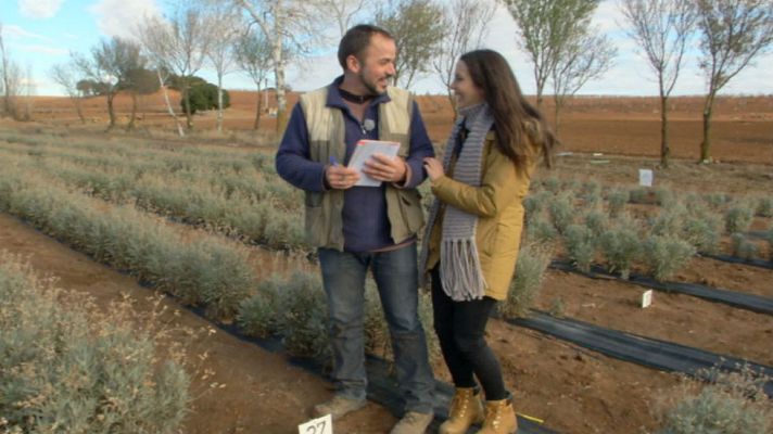 Aquí la Tierra - ¿Dónde se cultiva el látex?