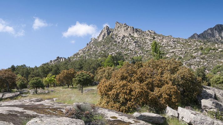 Informativo de Madrid - El Tiempo en la Comunidad de Madrid - 19/01/18