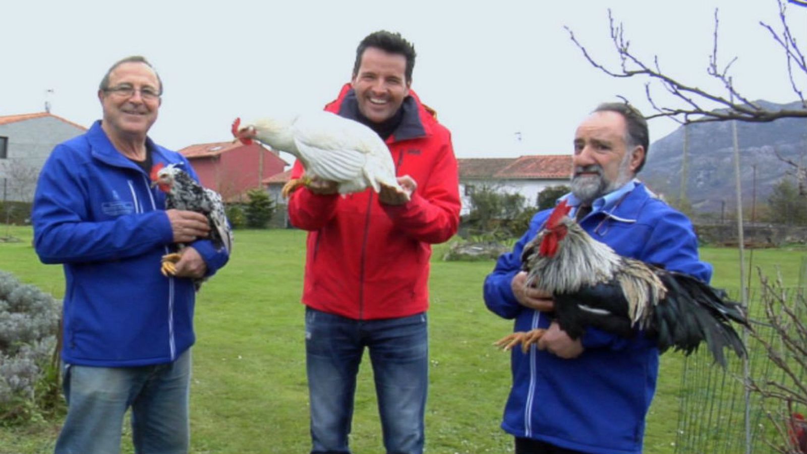 Una gallina ¡más asturiana que la sidra!