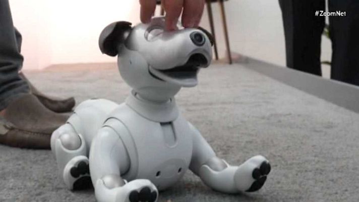 Zoom net - Computer Electronic Show (CES) y Daniel Canogar