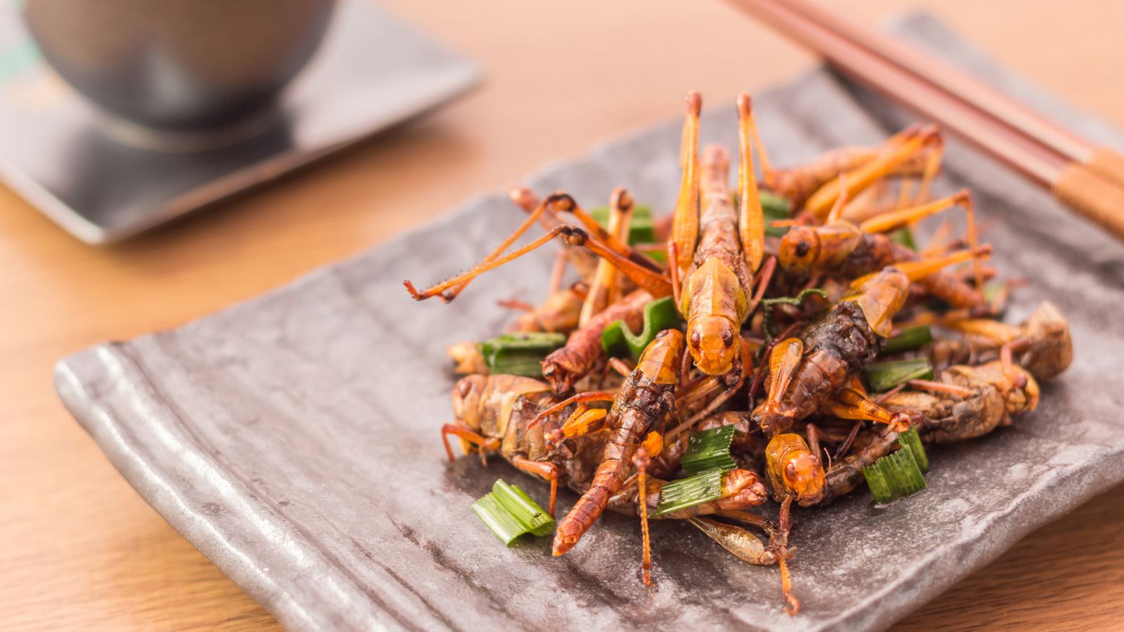 Otros documentales - Comida al descubierto: Insectos, leche y aceite de trufa - ver ahora