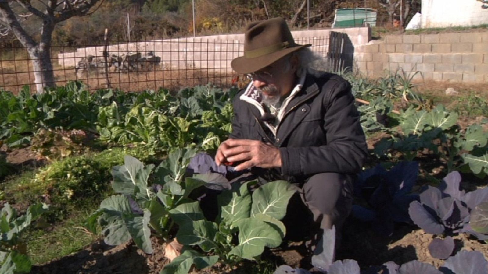 Aquí la tierra - 22/01/18 - ver ahora