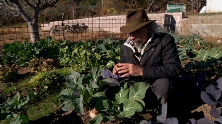 Aquí la Tierra - Los beneficios de las coles