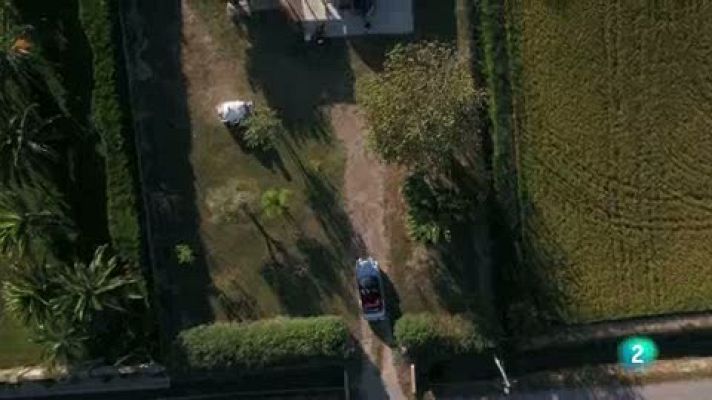 Las rutas Capone - Falso risotto de algas con dorada