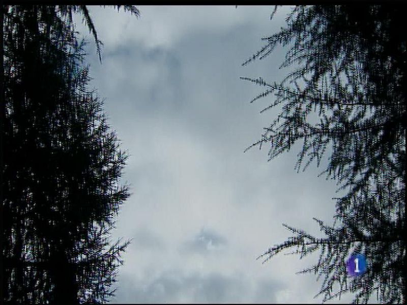 El tiempo en Asturias - 23/01/18 | Ver