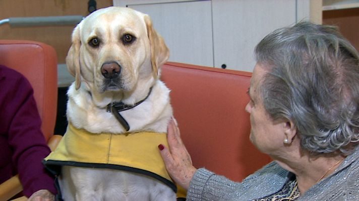 Informativo de Madrid - Informativo de Madrid 2 - 24/01/18