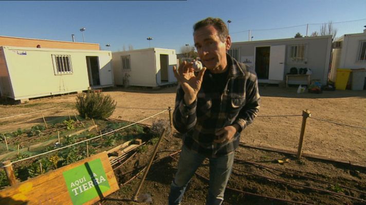 Aquí la Tierra - Plantar ajos, cuestión de matemáticas