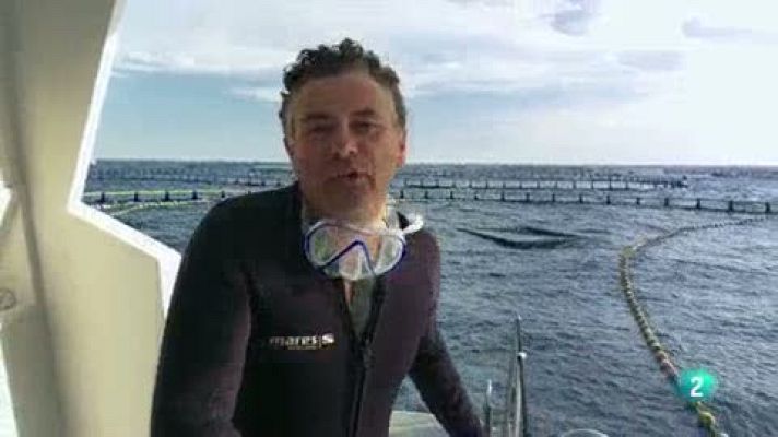 Las rutas Capone - Roberto nada entre atunes