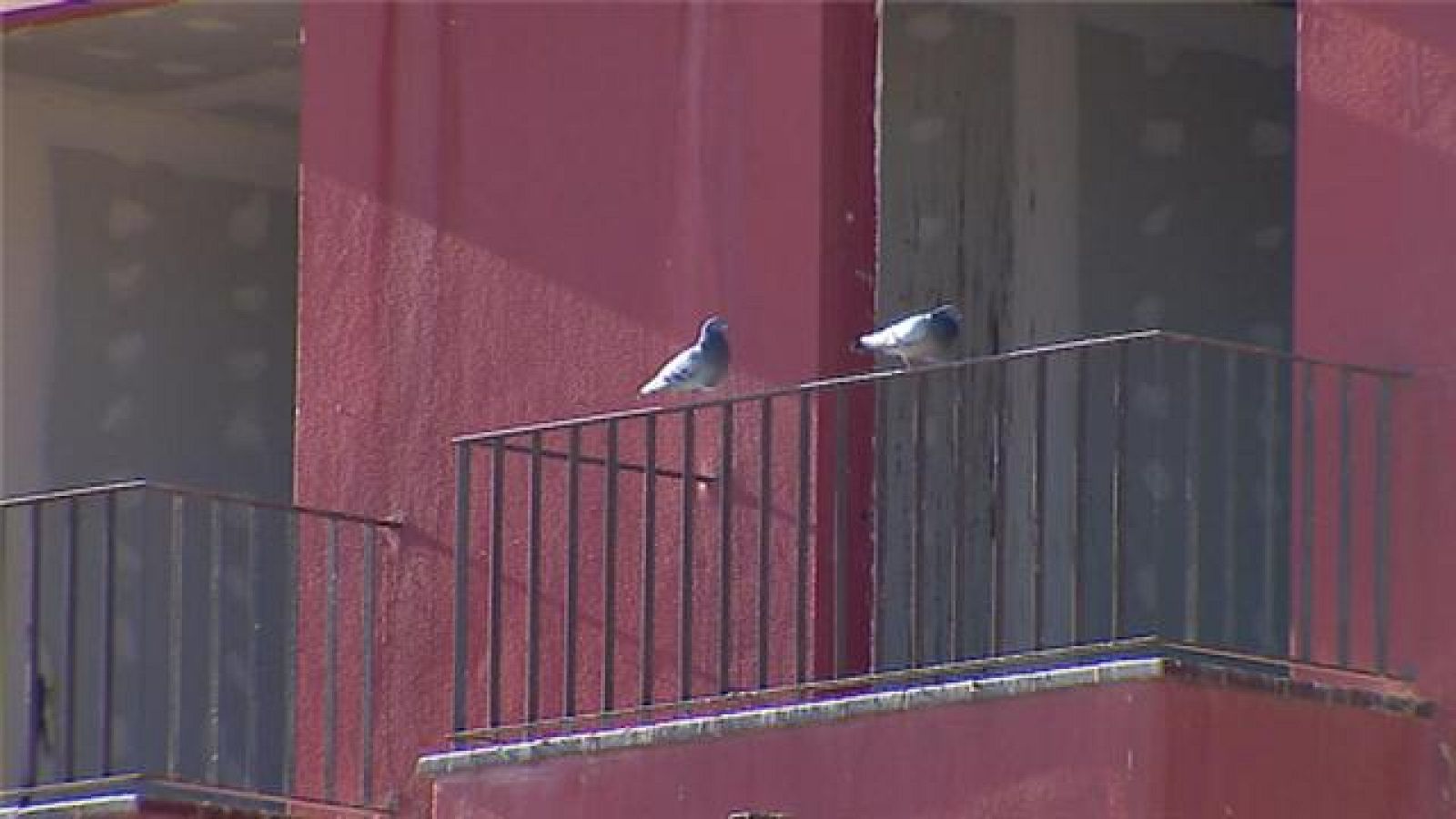 Canarias en 2' - 25/01/2018