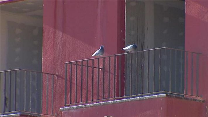 Telecanarias - Canarias en 2' - 25/01/2018