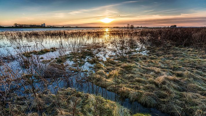 Grandes documentales - Holanda salvaje: Bajo el nivel del mar