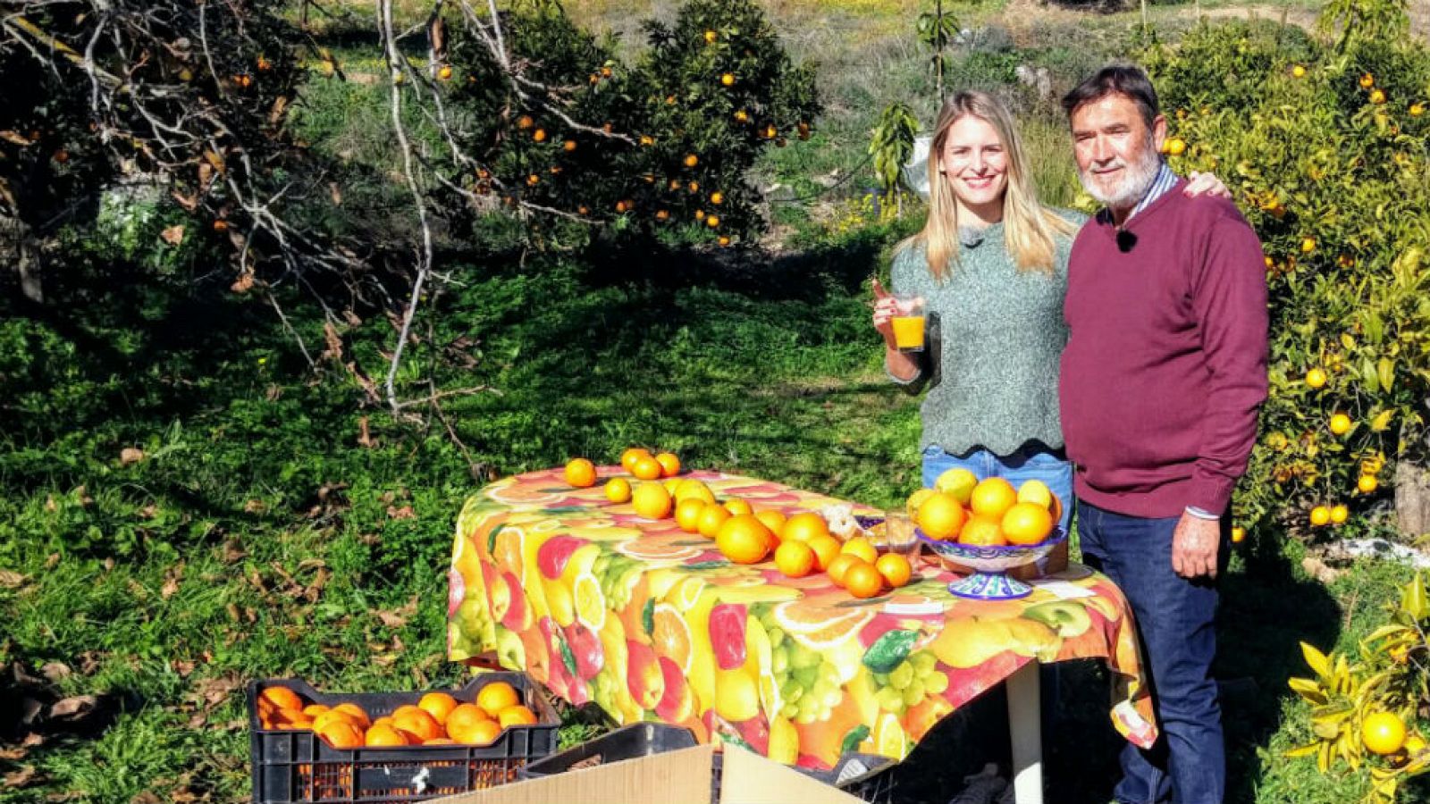 Naranjas a todas horas