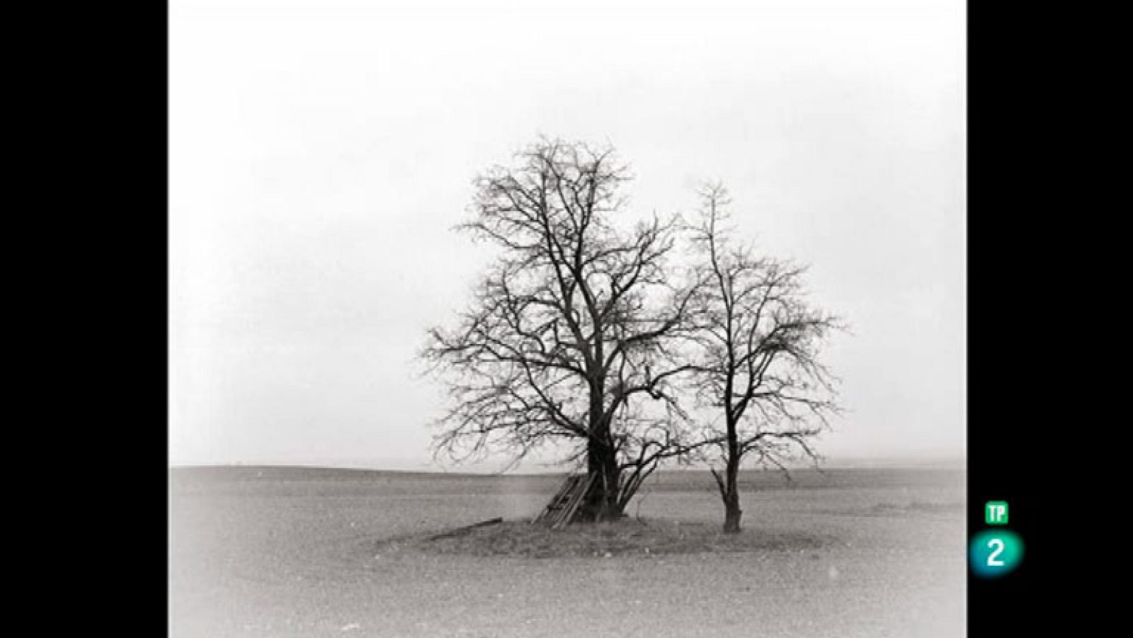 La Aventura del Saber. TVE. Boek Visual: José Quintanilla