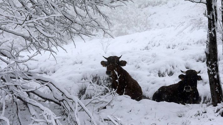 El tiempo - Nevadas en la mitad norte peninsular y vientos fuertes