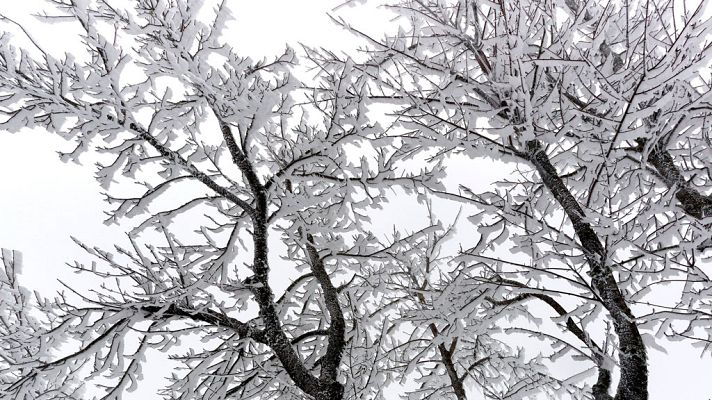El tiempo - Precipitaciones fuertes en el Levante, Andalucía oriental y Estrecho