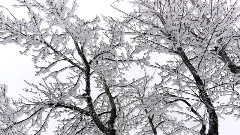 Precipitaciones fuertes en el Levante, Andalucía oriental y Estrecho