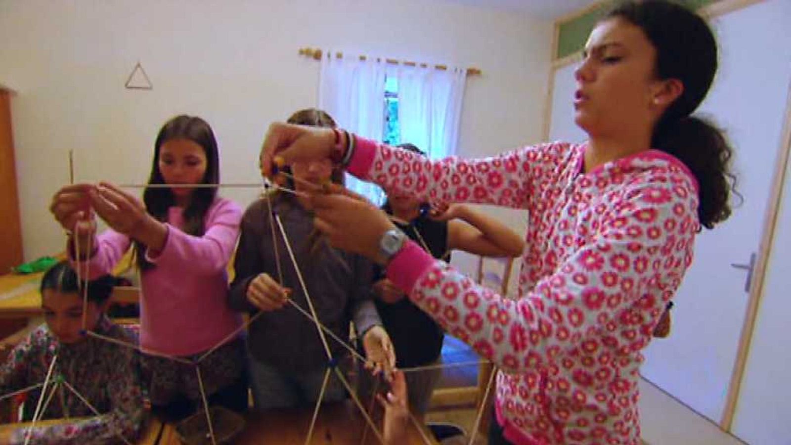 La aventura del saber - 29/01/18 - ver ahora