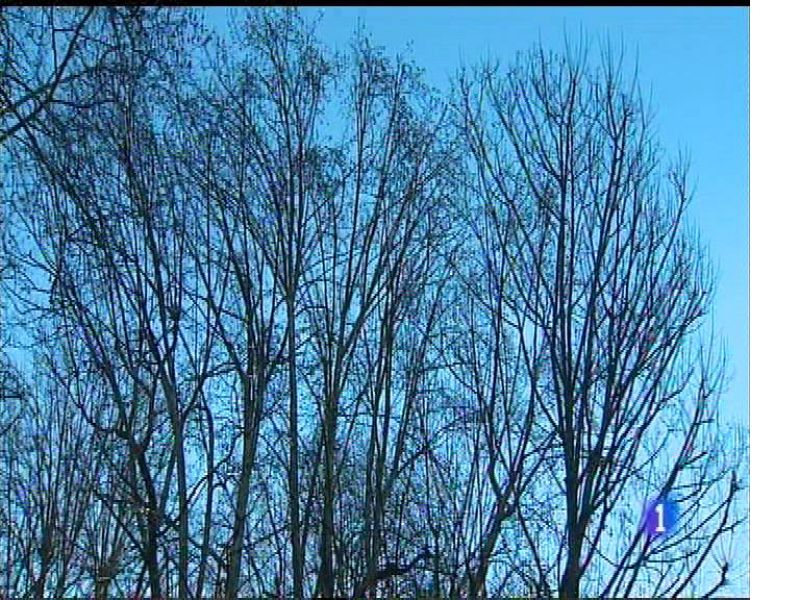 El tiempo en Asturias - 29/01/18 | Ver