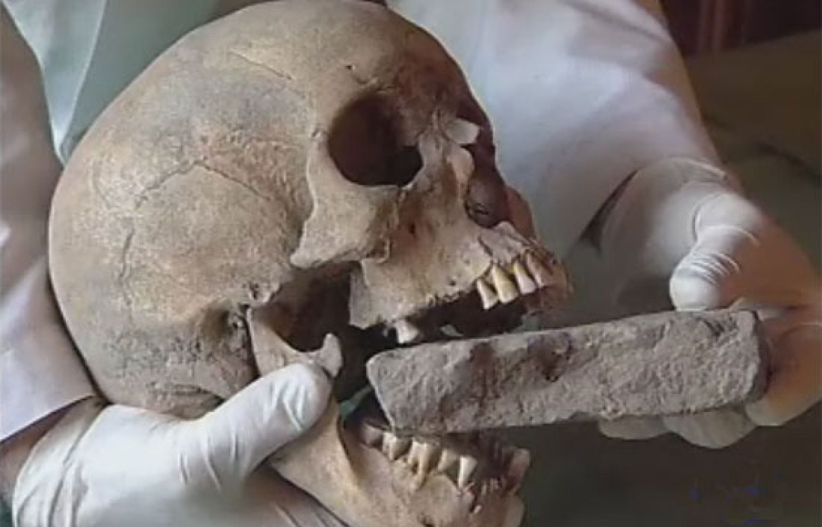 En Italia los antropólogos creen haber encontrado los restos de una mujer vampiro del siglo XVI | Ver