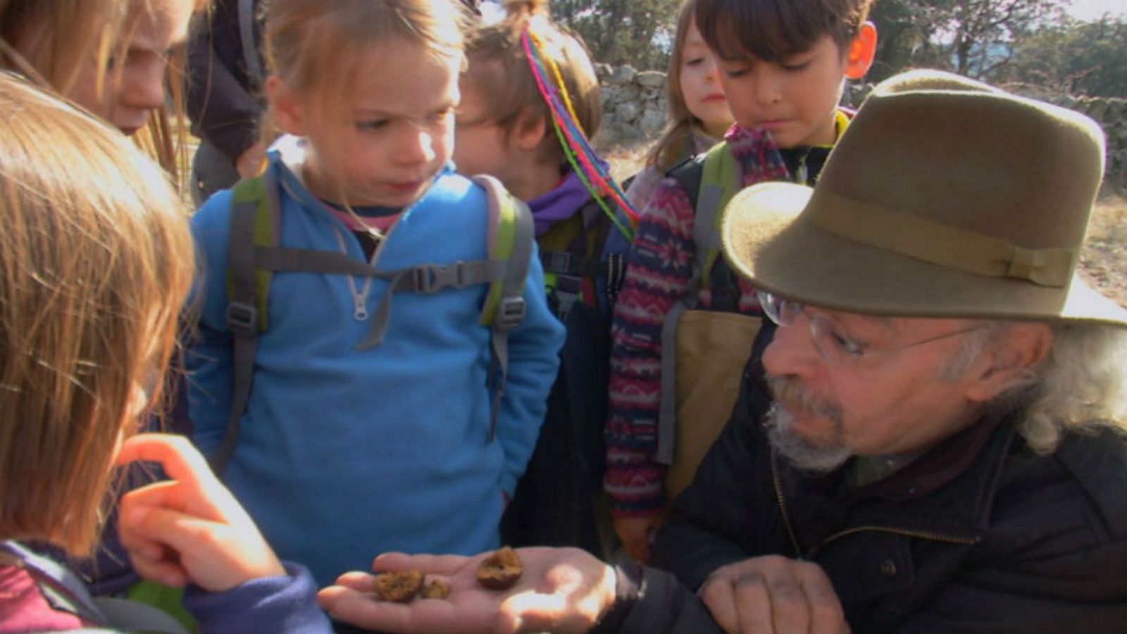 Juan Plantas y las agallas