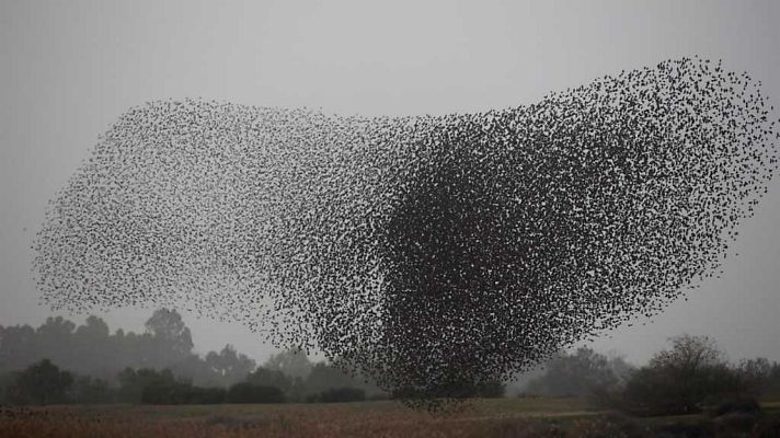 La 2 Noticias - La 2 Noticias - 29/01/18