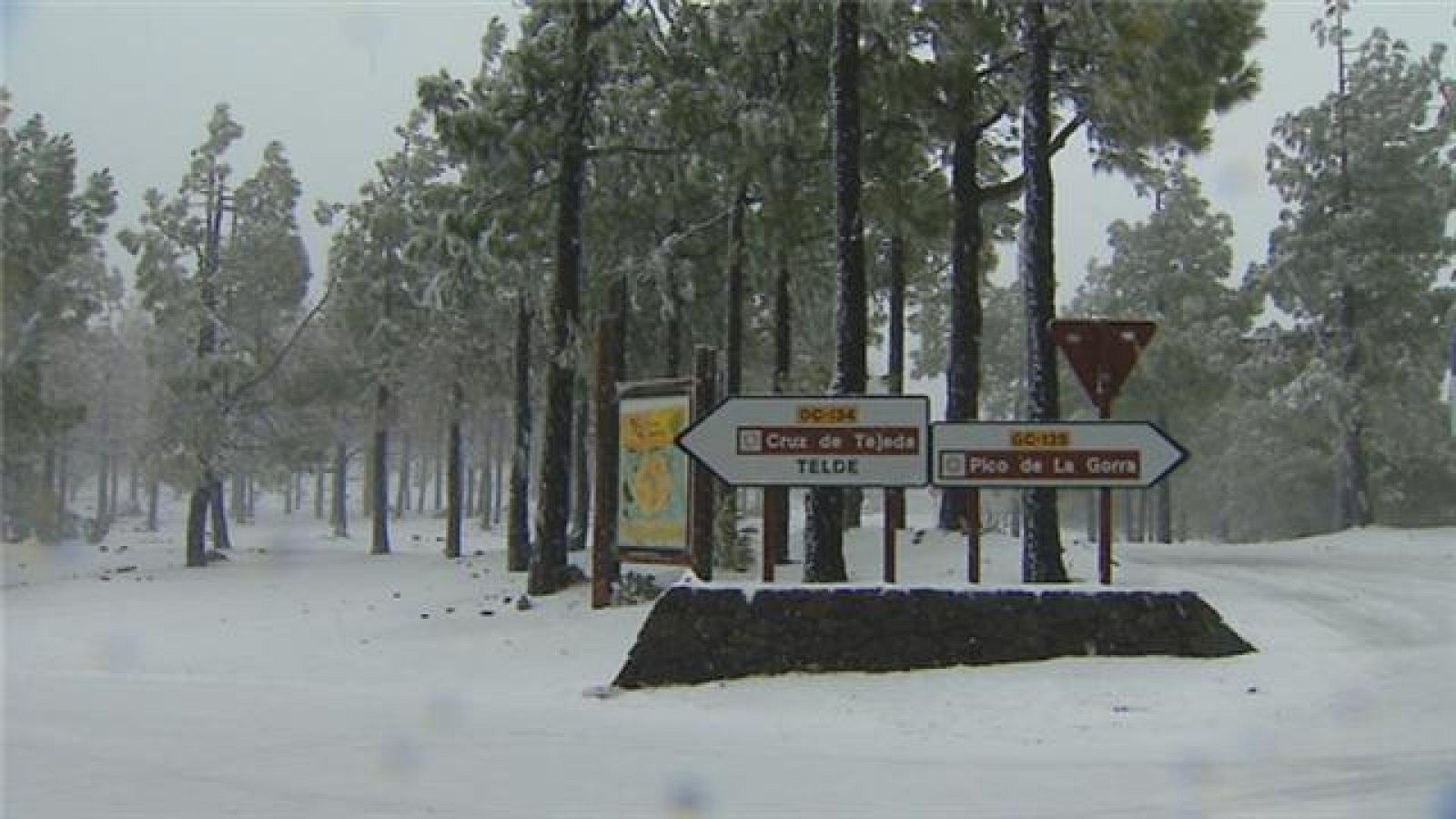 Telecanarias - 30/01/2018