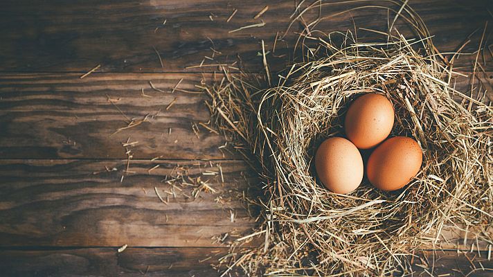 Otros documentales - Comida al descubierto: Sal, huevos camperos y haggis