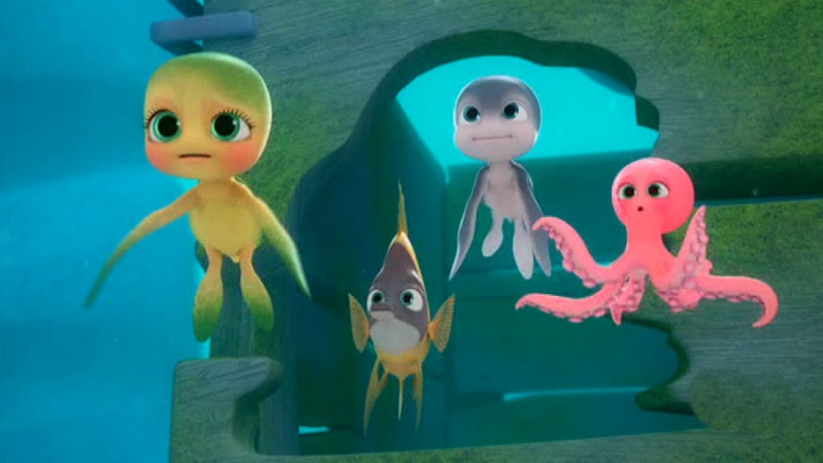 El nuevo Sammy - Sammy y compañía | Ver