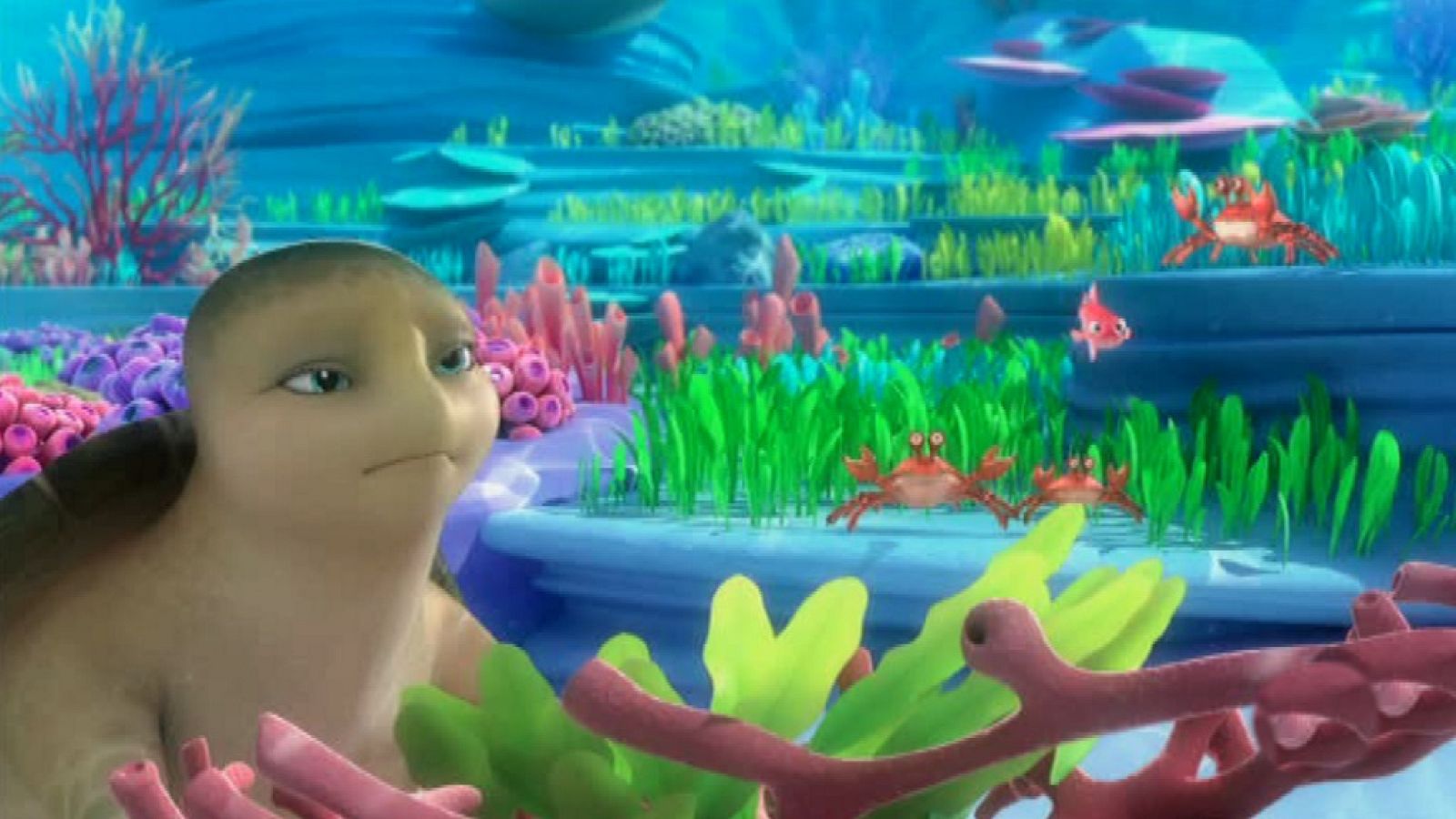 Un arrecife dividido - Sammy y compañía | Ver