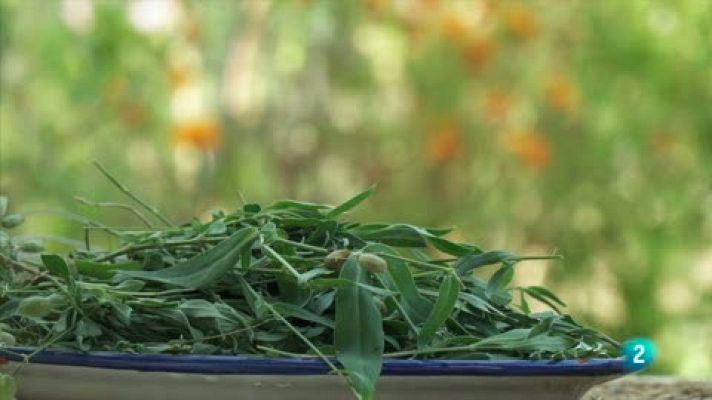 Las rutas Capone - Roberto Capone en las Alpujarras