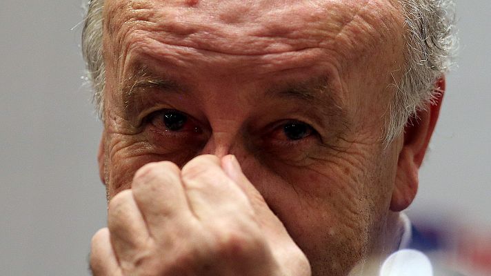  - Del Bosque: "La selección ha recobrado la confianza, podemos hacer un buen Mundial"