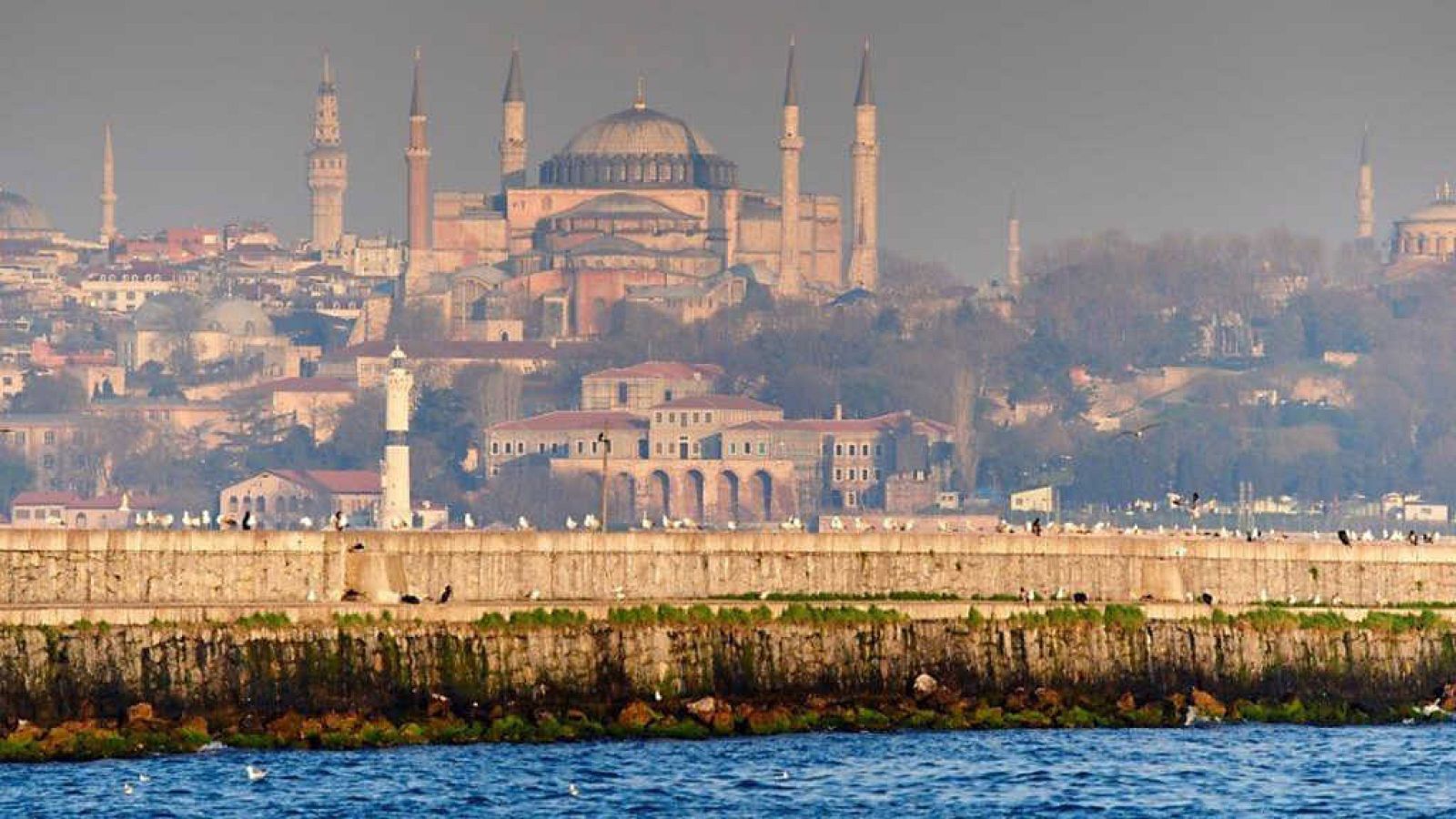 Grandes documentales - Estambul salvaje - ver ahora