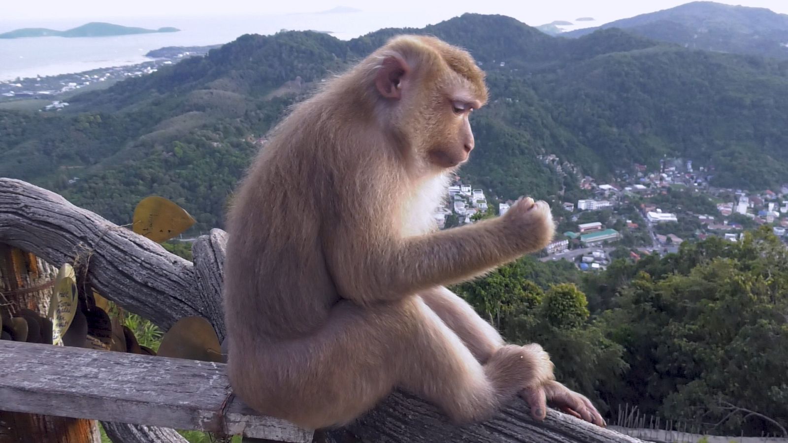 'Españoles en el mundo - avance - Tailandia