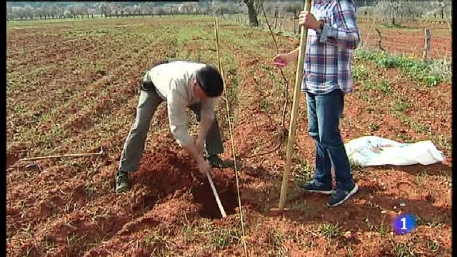 Informatiu Balear 2 - 01/02/18