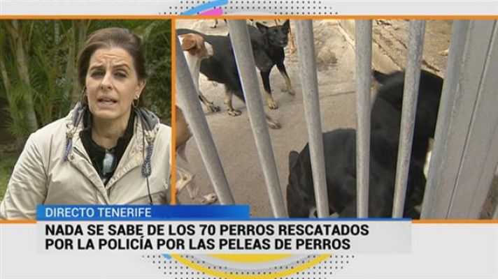 Cerca de ti - Cerca de ti - 01/02/2018