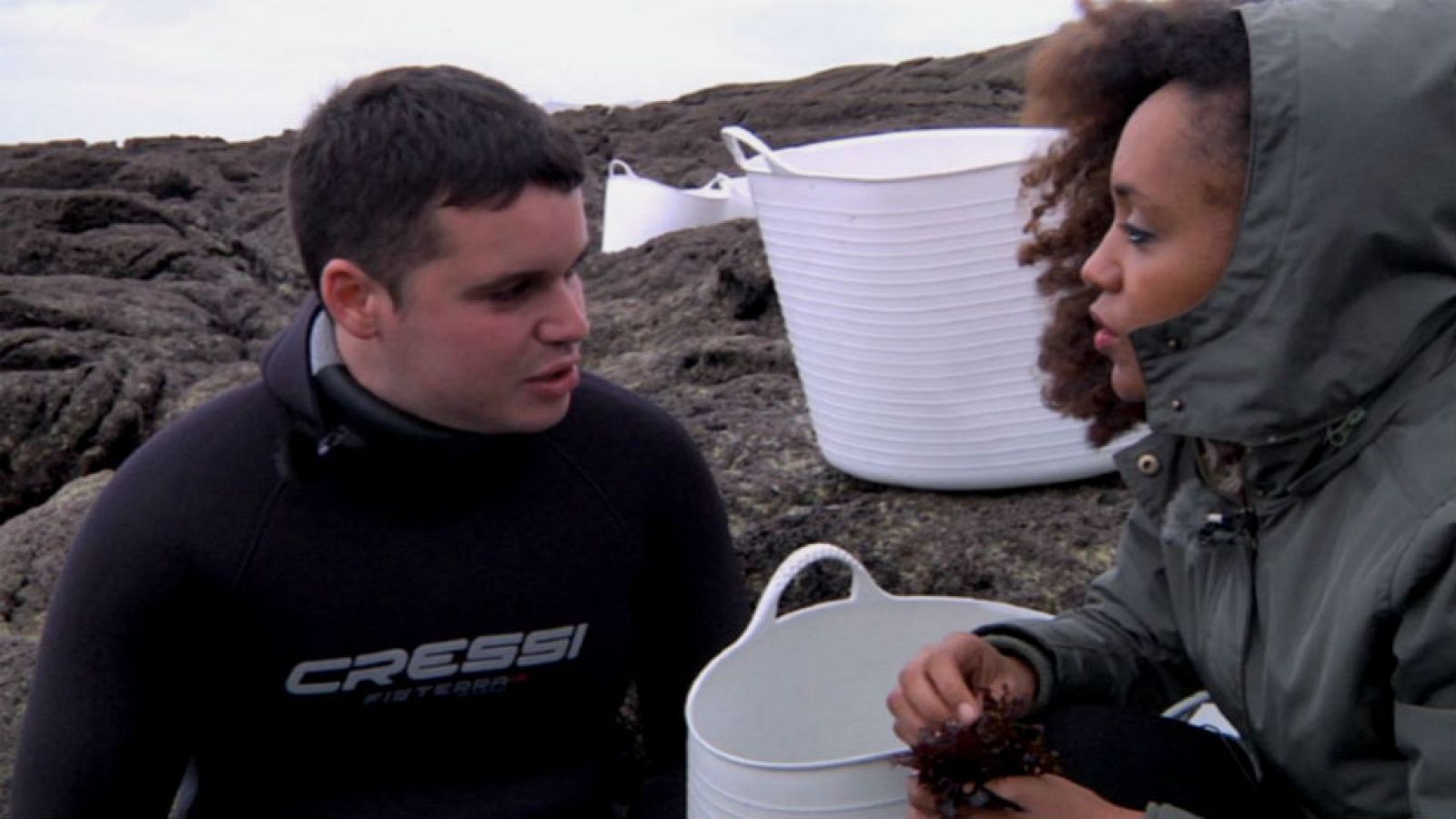 Algas: riqueza de nuestros mares