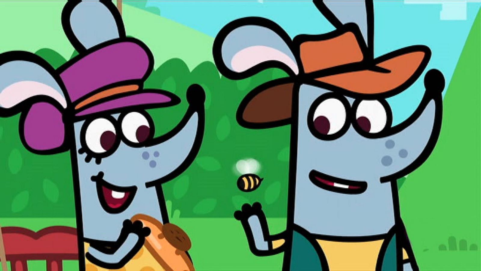 Boj el zumbador - Boj | Ver